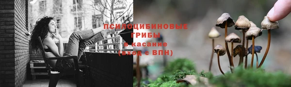 скорость Новокубанск